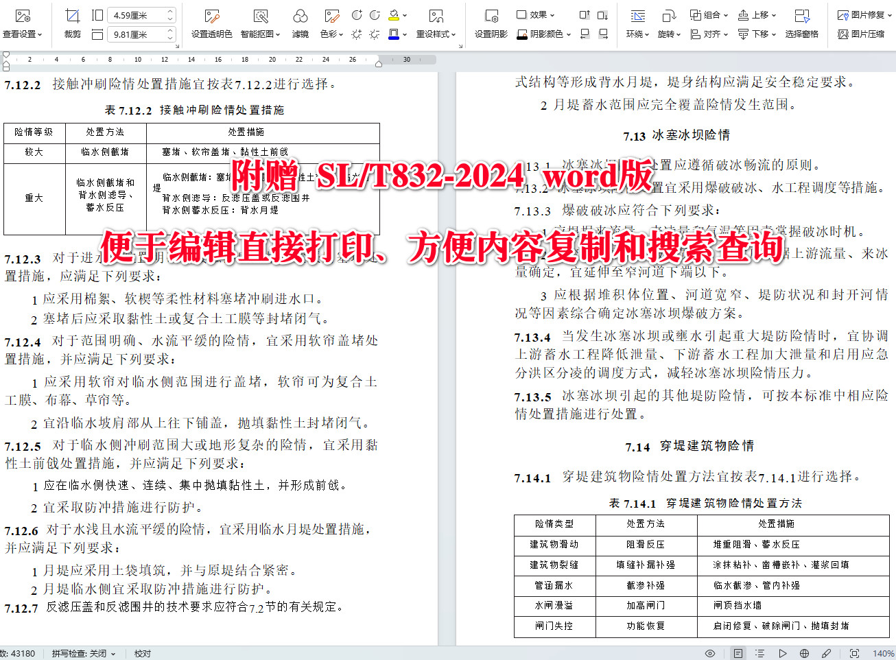 《堤防搶險技術導則》（SL/T832-2024）【全文附高清無水印PDF+可編輯Word版下載】4